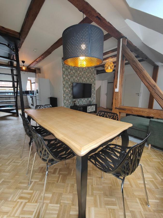 Appartement Le Baroque En Duplex Mulhouse Esterno foto