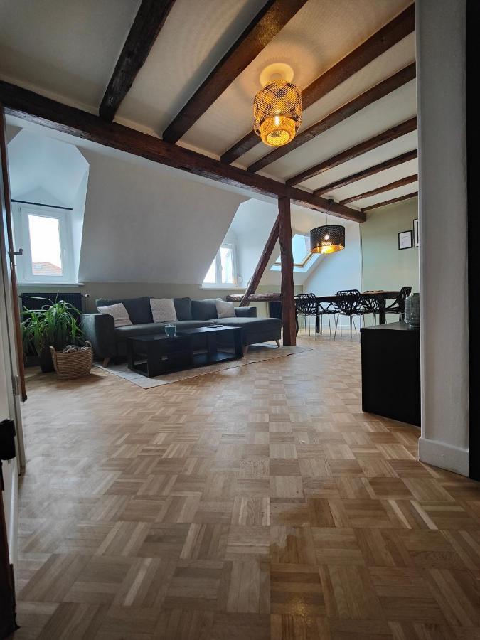 Appartement Le Baroque En Duplex Mulhouse Esterno foto