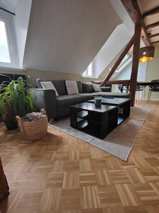 Appartement Le Baroque En Duplex Mulhouse Esterno foto