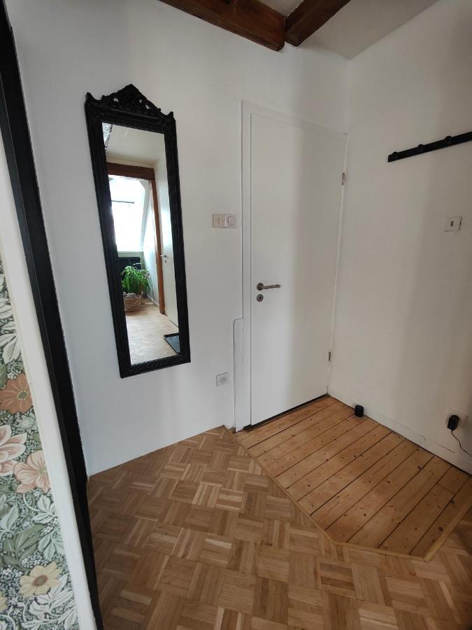 Appartement Le Baroque En Duplex Mulhouse Esterno foto