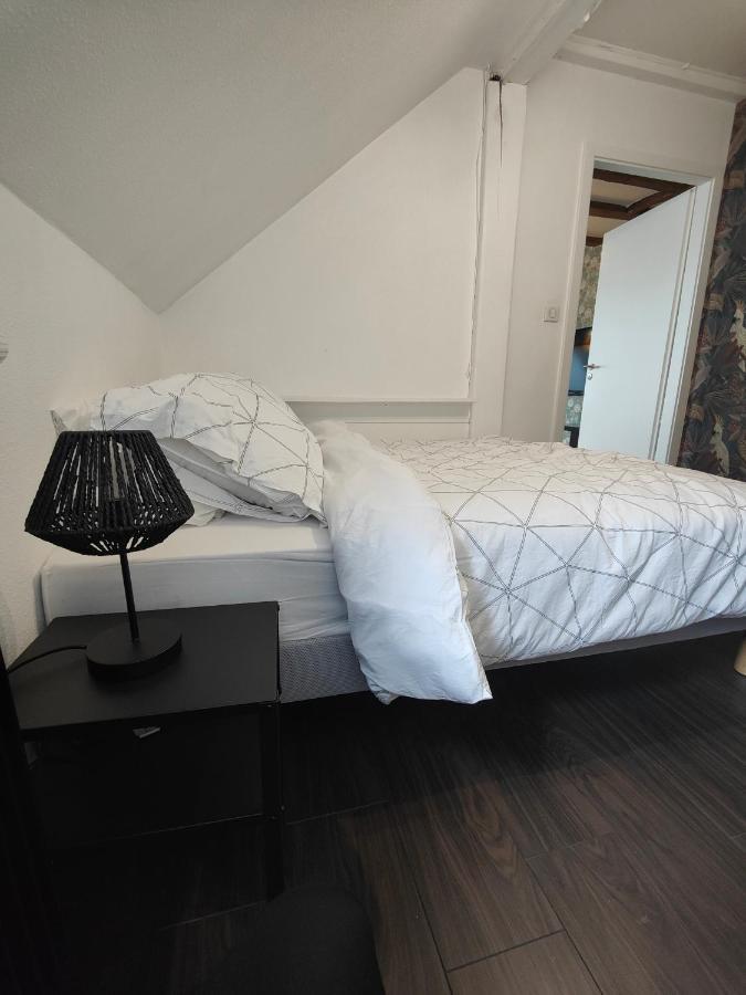 Appartement Le Baroque En Duplex Mulhouse Esterno foto