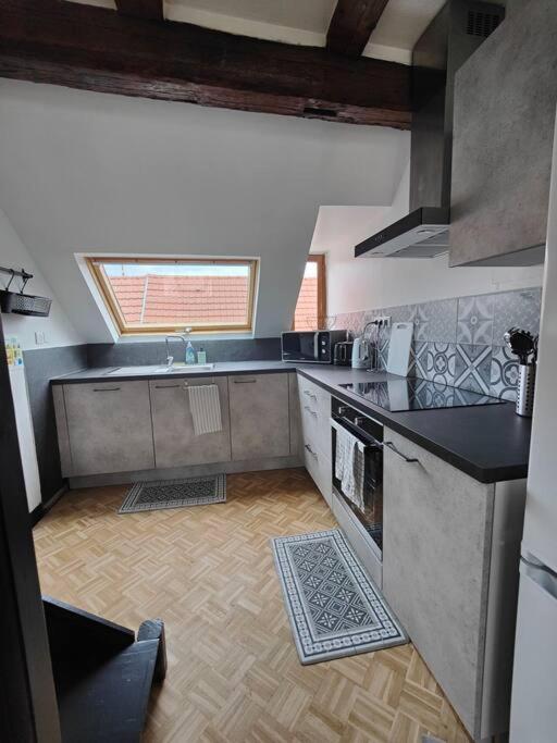 Appartement Le Baroque En Duplex Mulhouse Esterno foto